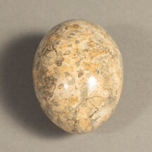 551 - Marble Egg Fossil