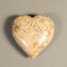 570 - Marble Heart Fossil Medium