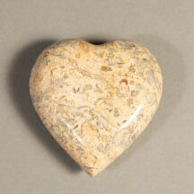 571 - Marble Heart Fossil Large