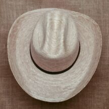 480 - Men's Western Palm