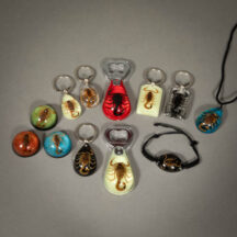Scorpion Key Rings & Jewelry