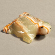 510 - Onyx Turtle