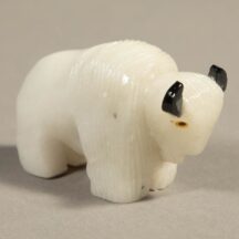 921 - Medium Alabaster White Buffalo